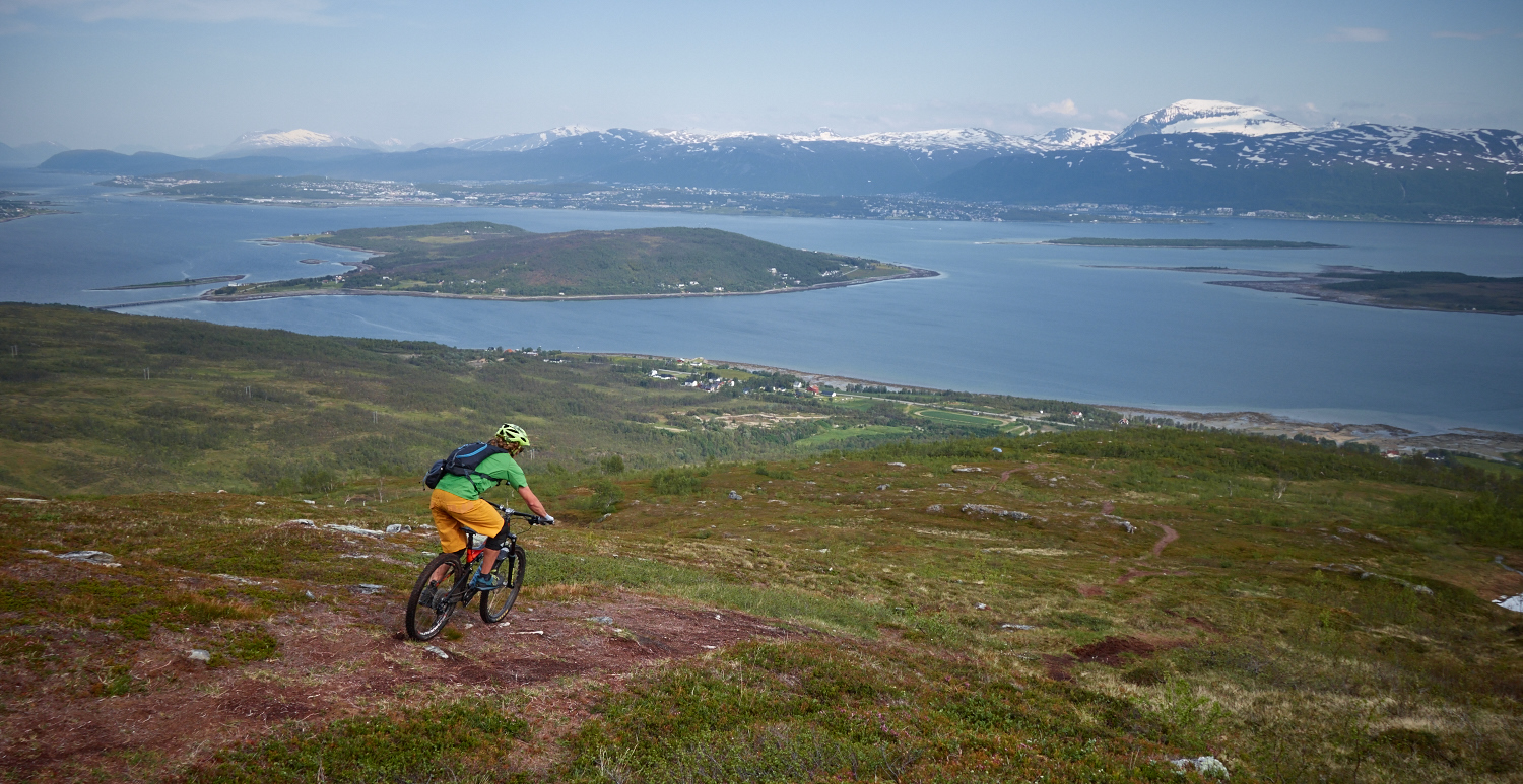 ...to the freshly cut loam above treeline on Rundfjellet (photo by Andrea)...