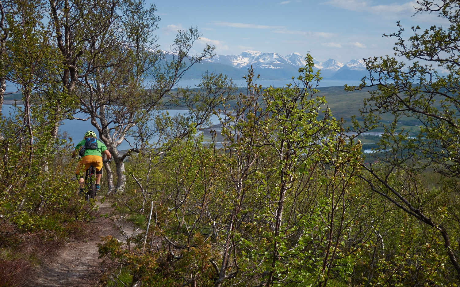 ...or steep, twisty woods below treeline on Rundfjellet...