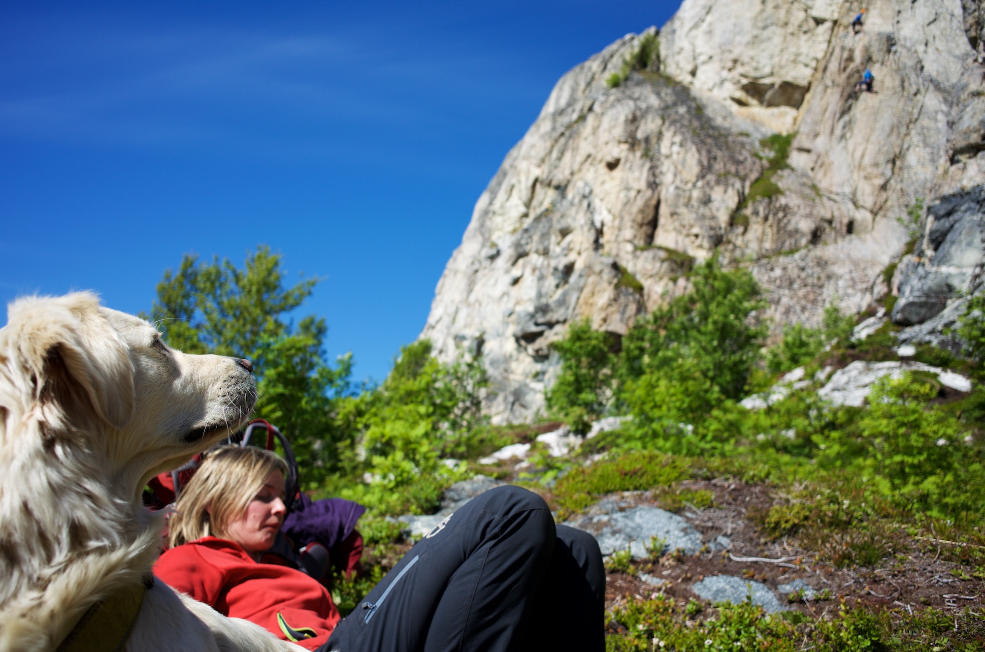 Emmy chilling, Bella checking out Andrea and Stian hanging on the rock in the background.