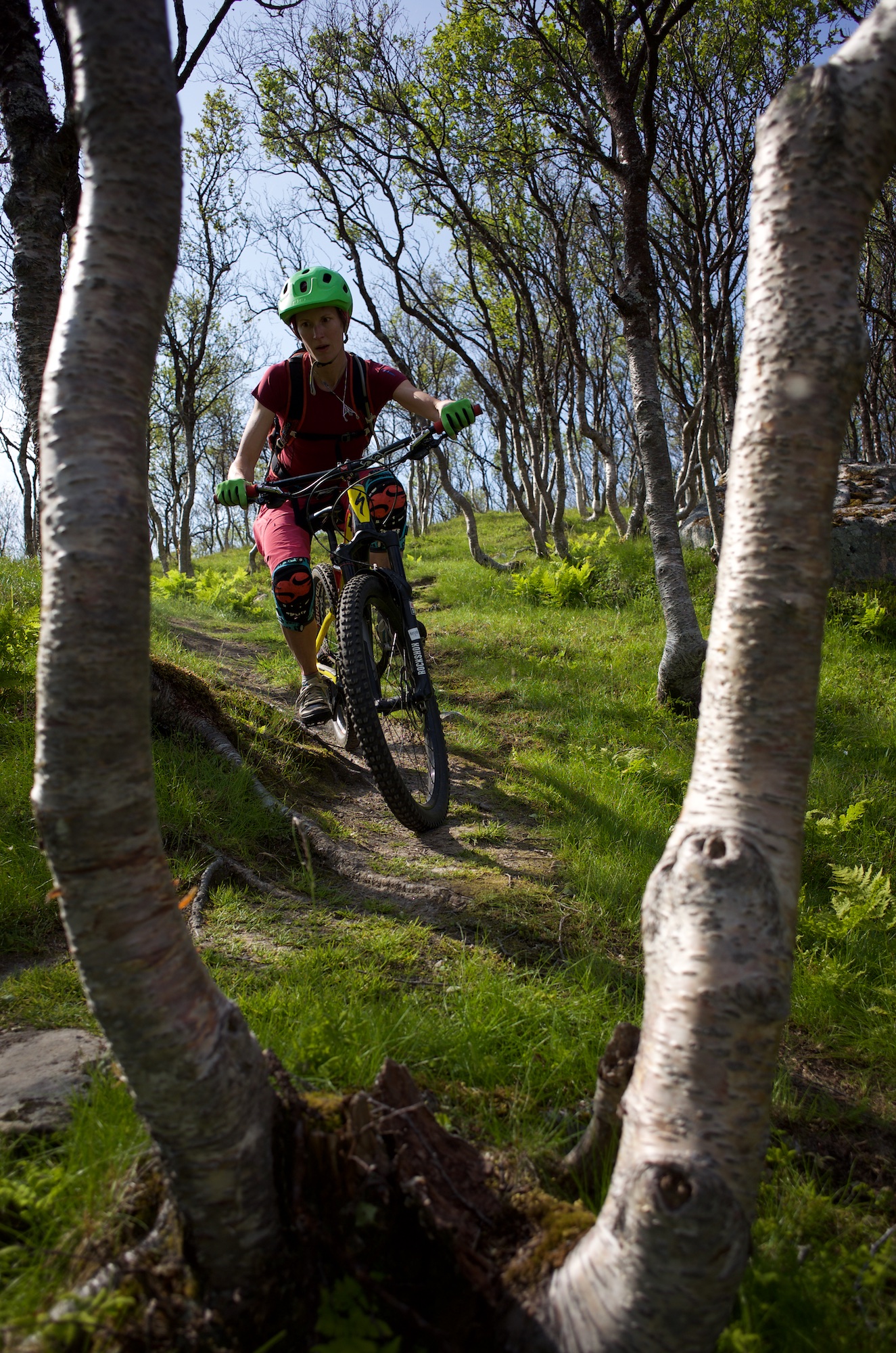 ...to threading the needle in the tight trees on Brattfjellet...