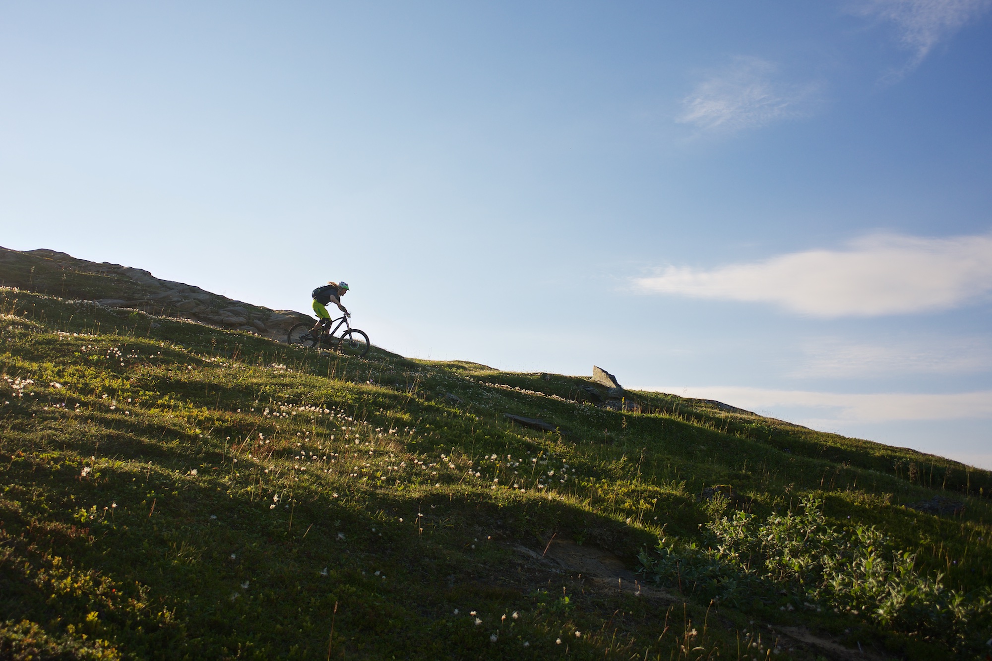 Gustav and the flowers in the alpine terrain.