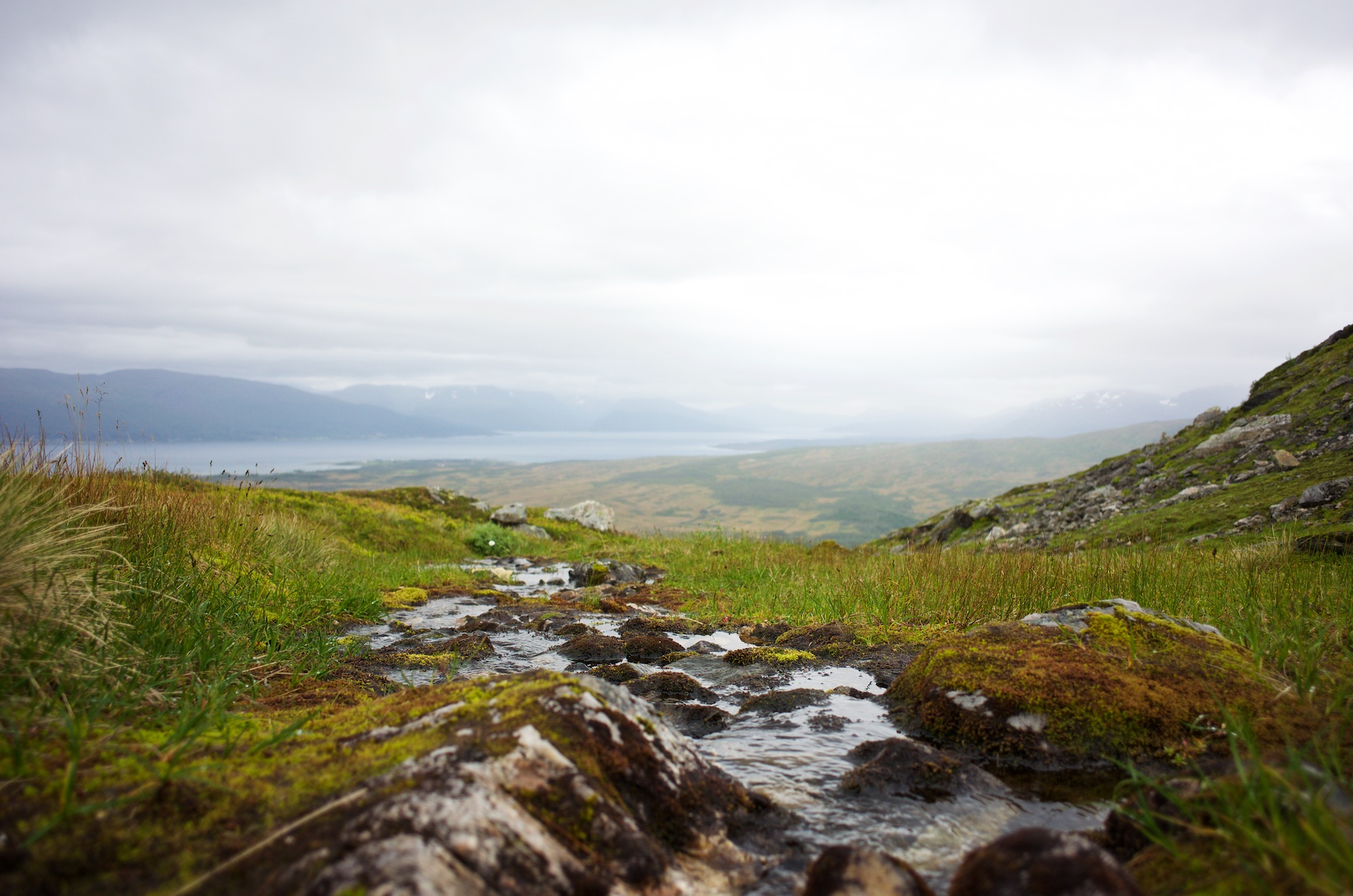 All streams were well filled after the last days of rain.