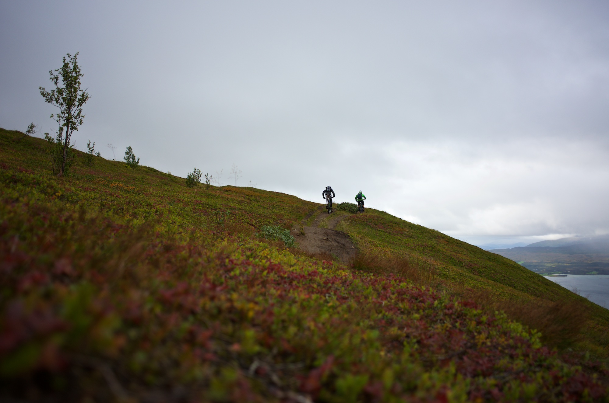Kenneth and Gustav enjoy the wind and the contouring trail in soon to be full autumn glory.