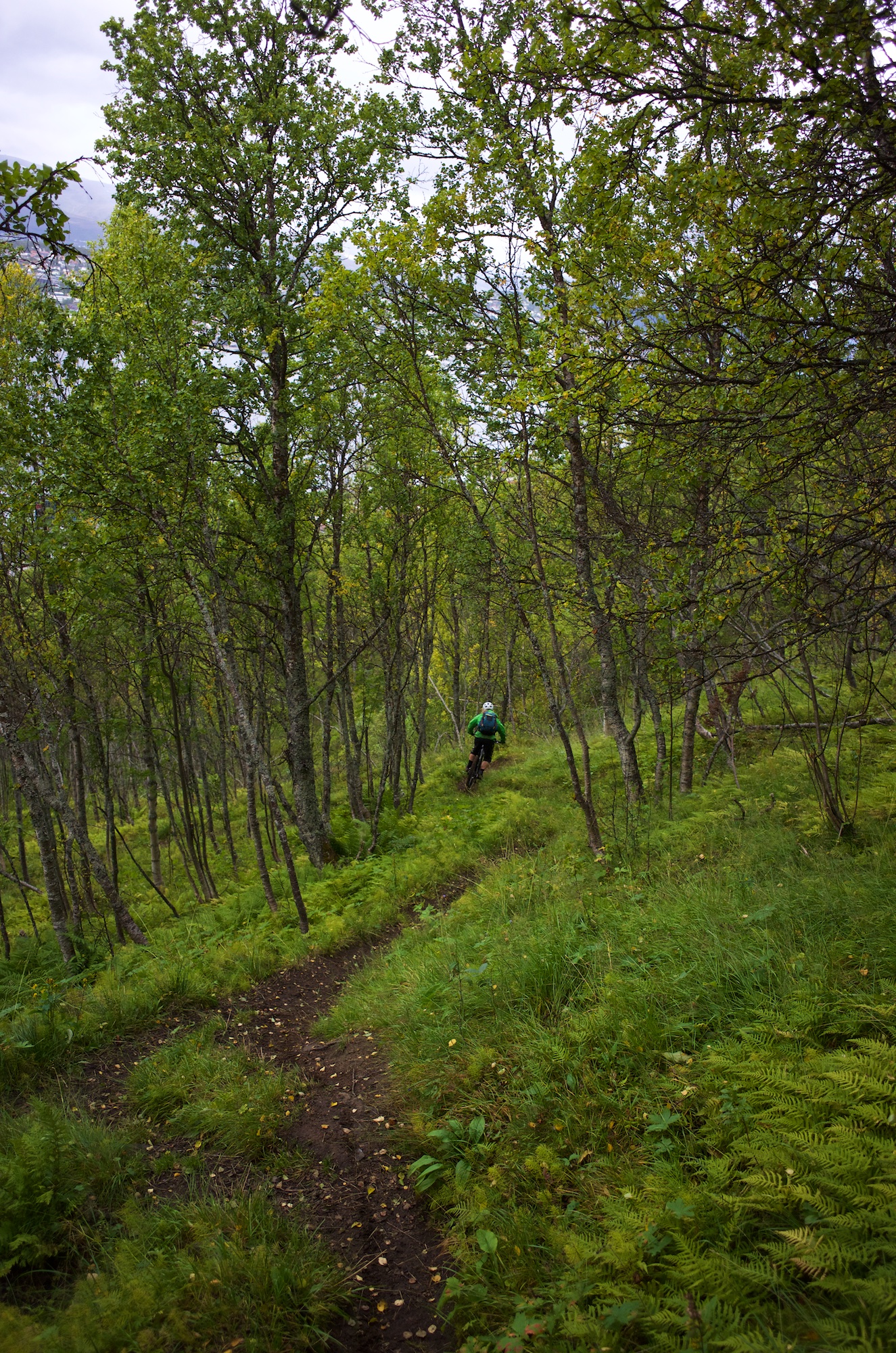 Fast and twisty, next switchback coming up just ahead.