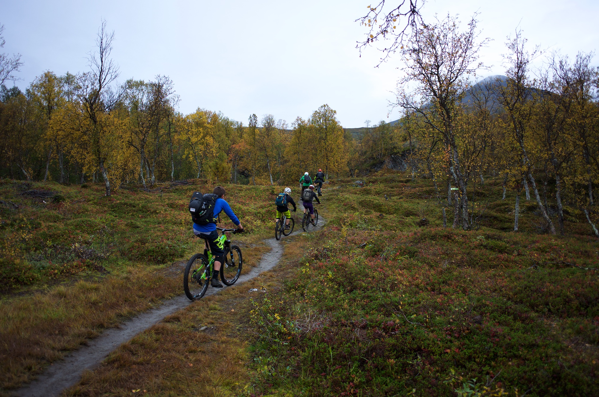 The climbing wound its way through birch trees towards Skihytta.