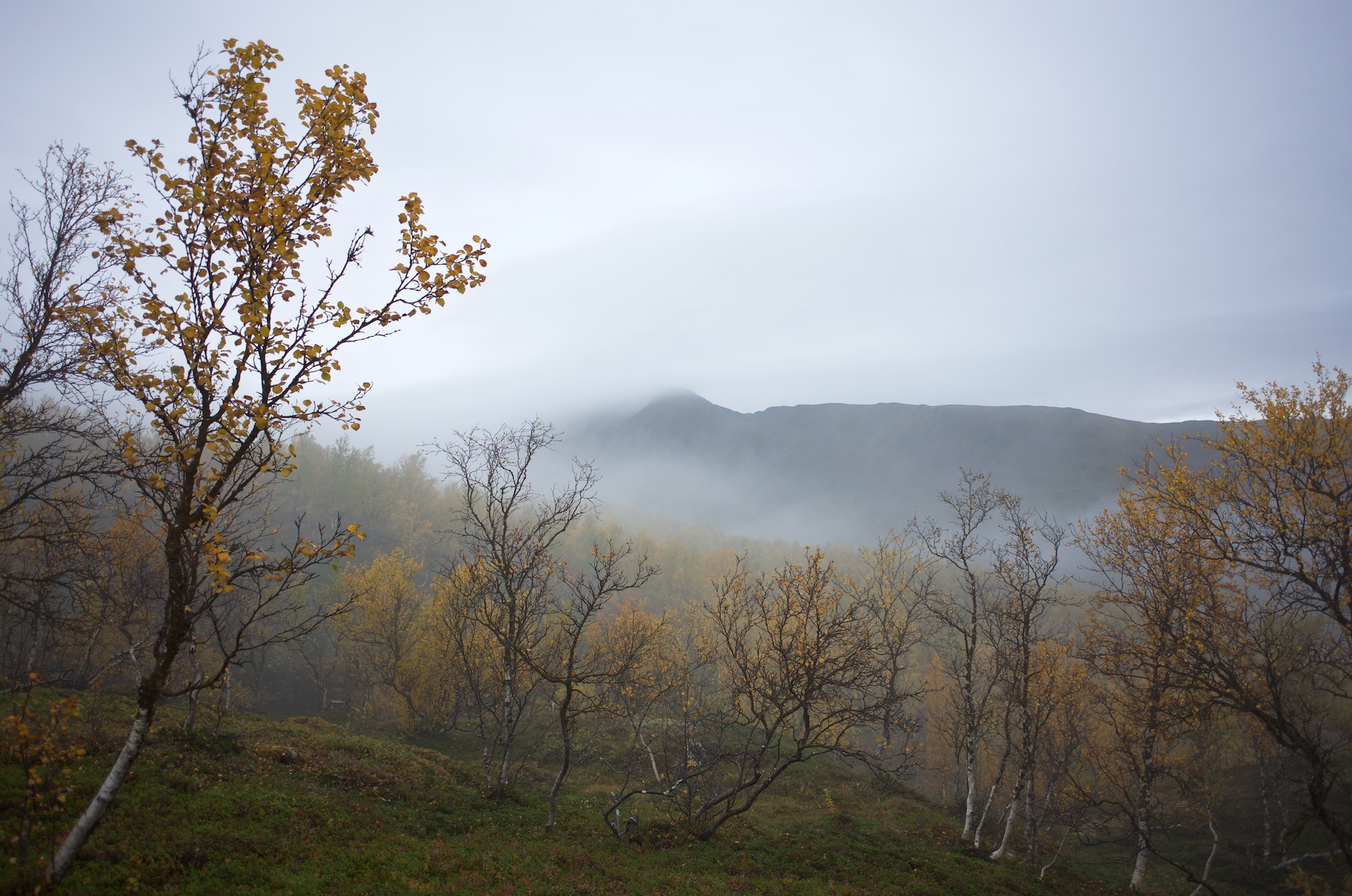 Between fog and clouds.