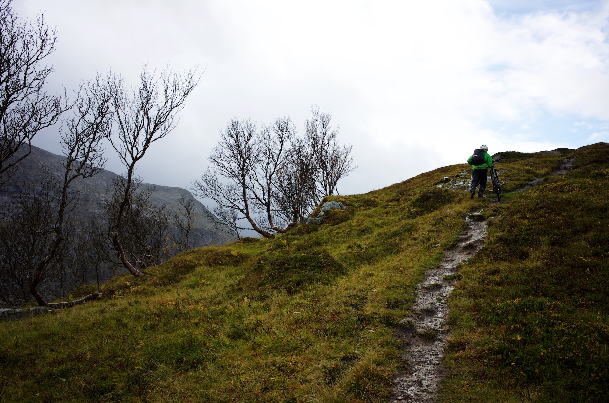 Gustav pushing through the headwind on the well soaked trail.