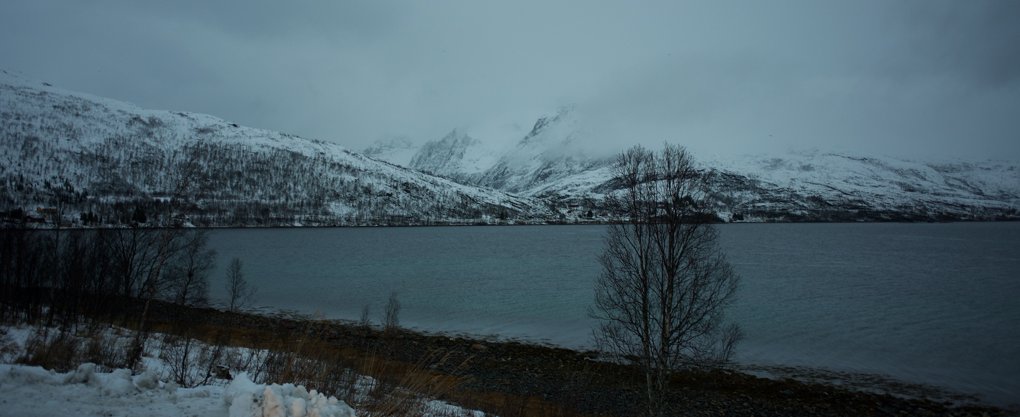 Cold and very wet water with orcas and whatnot in it. Kattfjordseidet lurking in the clouds behind.