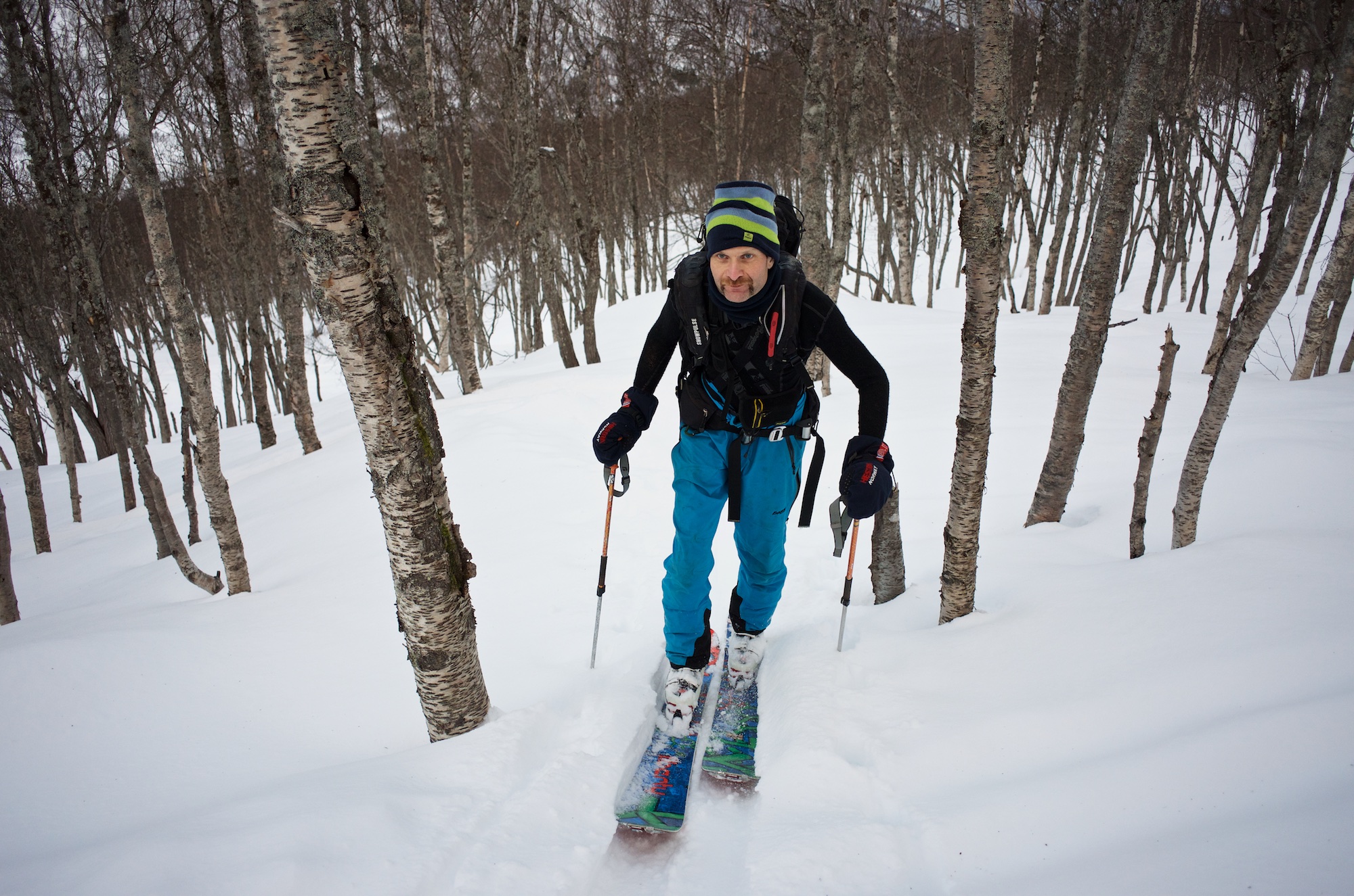 Kenneth skinning up through the birches on the lower slopes of Gorzelvtind.