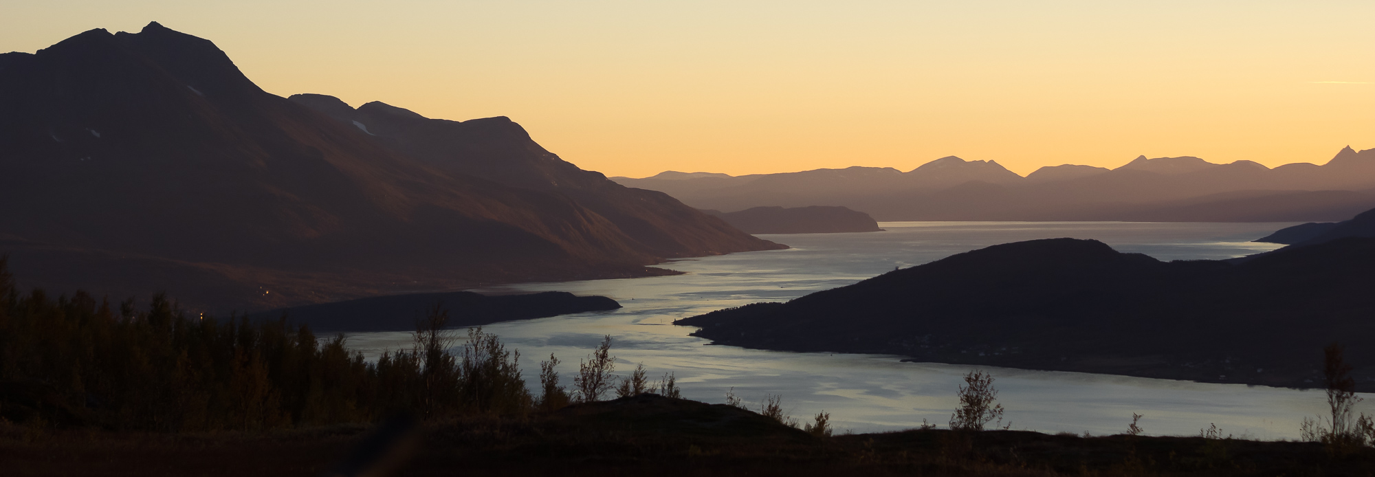 Just above treeline the views open towards Malangen, Kvalöja and Senja.